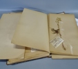 Herbarium, 1940-tal