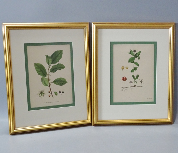 1 par tavlor, efter Johan Wilhelm Palmstruch