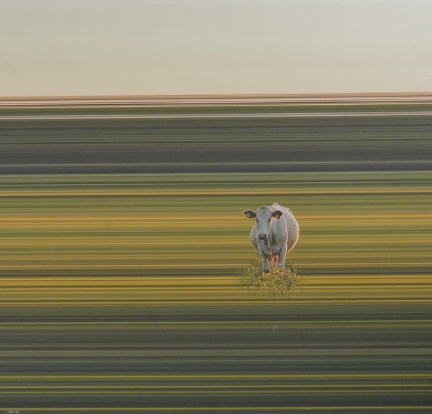 Fototavla, Stina Deurell