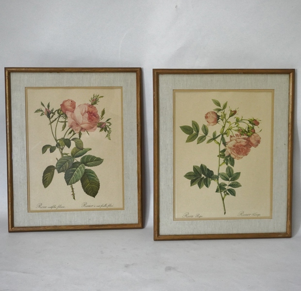 2 st grafiska blad "rosor"