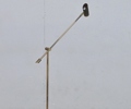 Golvlampa, Belid, 2000-tal