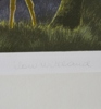 Litografi, Ilon Wikland