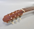 Akustisk gitarr, Vicente Sanchis