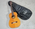 Akustisk gitarr, Vicente Sanchis
