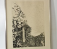 Etsning, Stefano Beccari
