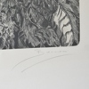 Etsning, Stefano Beccari