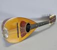 Mandolin, Vega Company of Boston