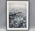 Fotografi, Viggo Lundberg "Djurgården 4"