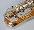 Altsaxofon, Slade, USA, 1900-tal