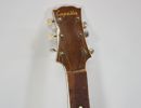 Akustisk orkestergitarr, Capella, 1900-tal