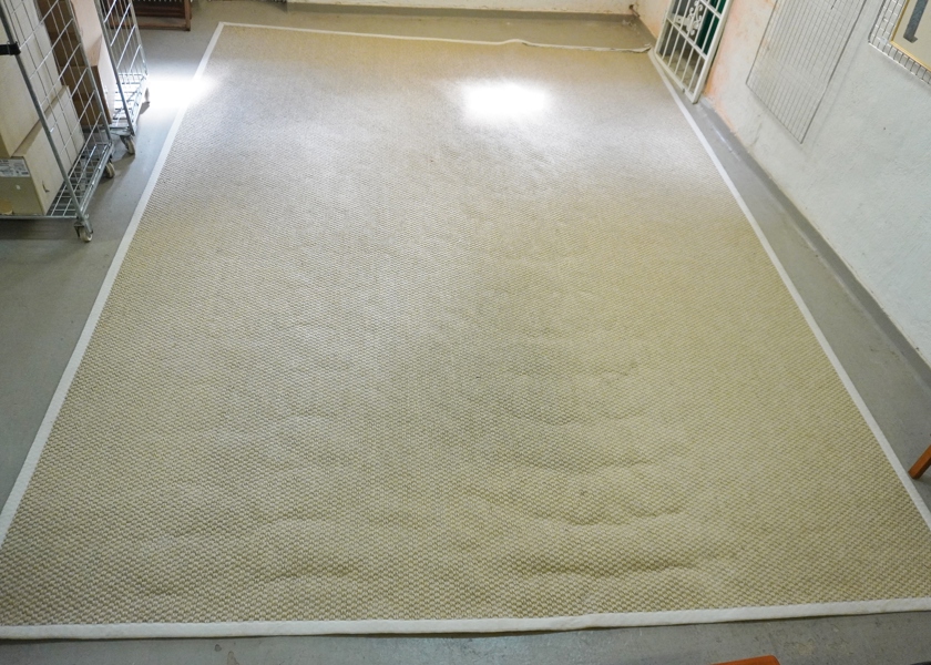 Matta, XXL, 550*400 cm, NTK