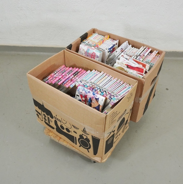 stor samling Manga serier