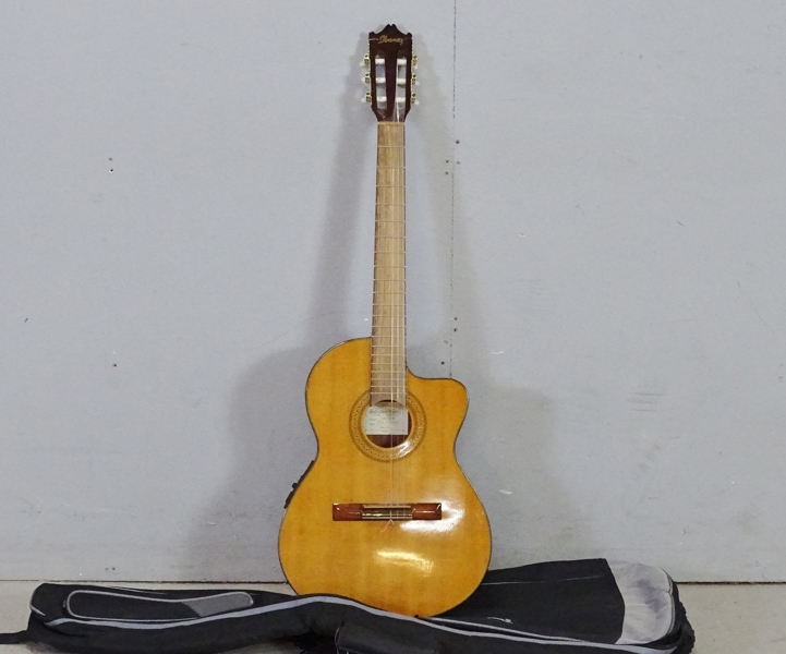Halvakustisk gitarr, Galvador Ibanez