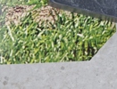 8017c_8ddba0773fa8a0e_sm.jpeg