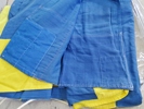 Parti flaggor, Sverige
