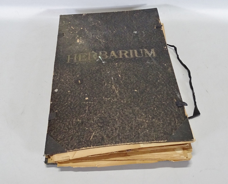 Herbarium, 1920-tal, Sverige