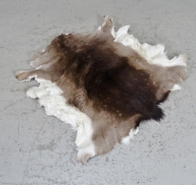 Skinnfäll, Dovhjort