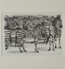 Litografi, Cecilia Frisendahl "zebror"