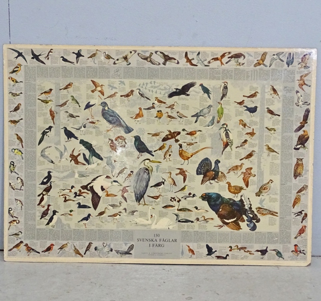 Skolaffisch, 150 svenska fåglar i färg