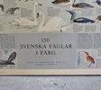 Skolaffisch, 150 svenska fåglar i färg