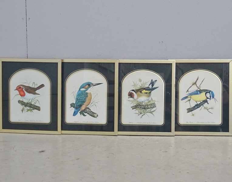 4 st tryck, fågelmotiv