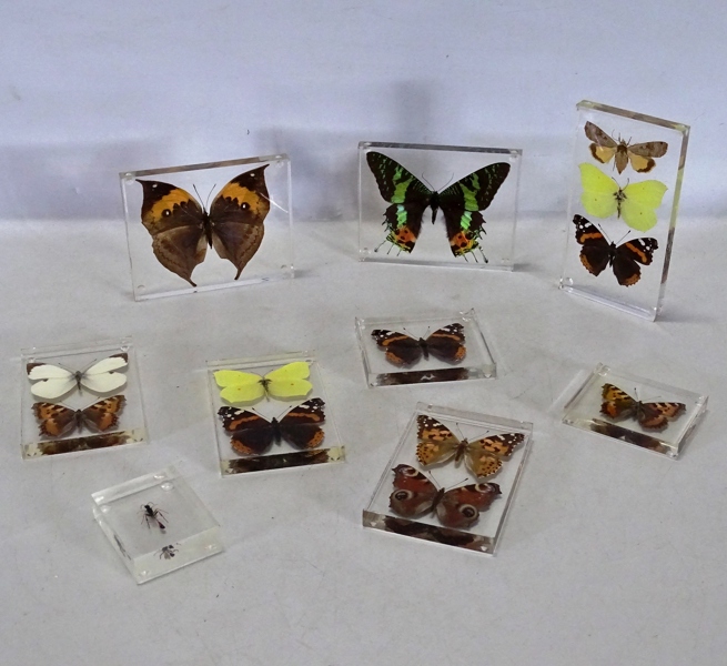 Biologiska plastpreparat, 9 delar, 1900-tal